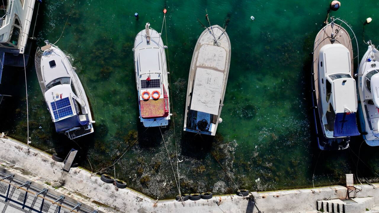 İstanbul Boğazı'nda müsilaj alarmı! Kabus geri döndü, Beykoz sahillerine vurdu - 1. Resim