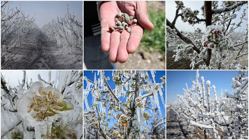 36 ili birden vurdu, bakanlık harekete geçti! Yumaklı: "Ürün arzında kriz yok" 36 ili birden vurdu, bakanlık harekete geçti: Hasar tespit çalışmaları başladı - 1. Resim