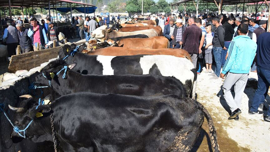 Bayram tatili süresi 10 güne çıkabilir! Kurban Bayramı ne zaman 2025? - 2. Resim