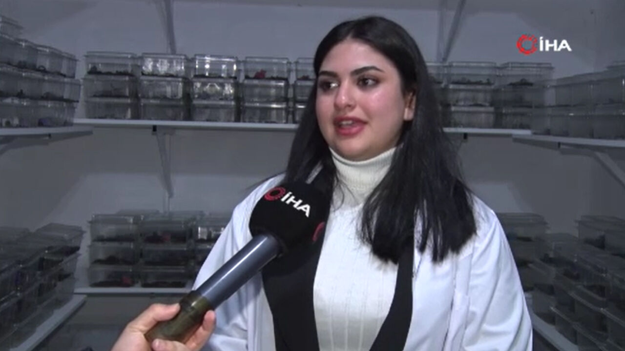 Kanser hastalarına iyi geliyor, akciğerdeki lekeyi bile temizliyor! 18 yaşındaki kız bir odada &uuml;retiyor - 4. Resim