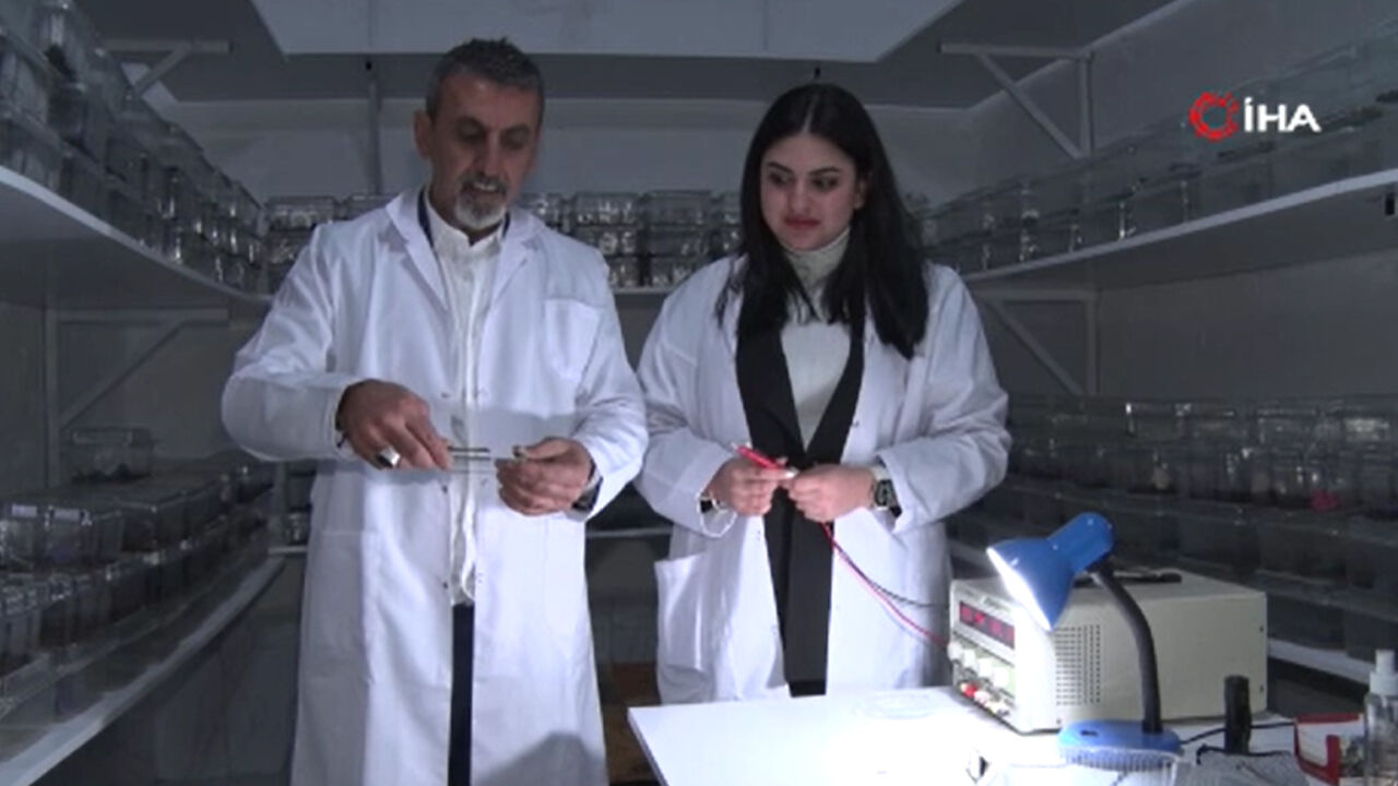 Kanser hastalarına iyi geliyor, akciğerdeki lekeyi bile temizliyor! 18 yaşındaki kız bir odada &uuml;retiyor - 8. Resim