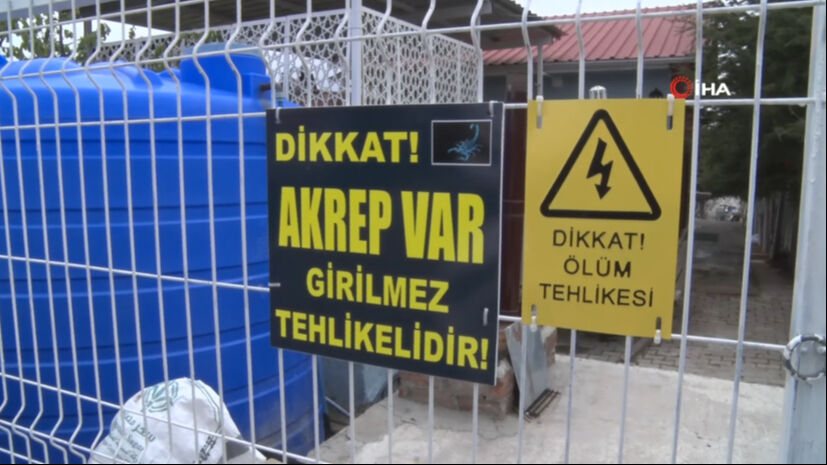 Kanser hastalarına iyi geliyor, akciğerdeki lekeyi bile temizliyor! 18 yaşındaki kız bir odada &uuml;retiyor - 5. Resim