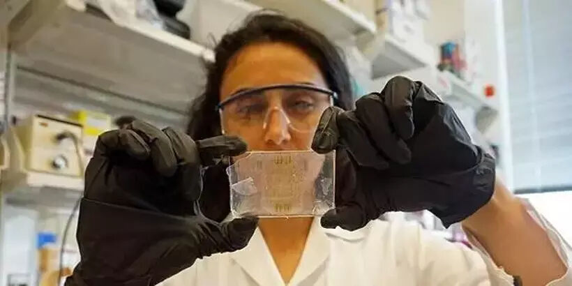 Canan Dağdeviren kimdir? Dr. Canan Dağdeviren'in hayatı ve biyografisi Canan Dağdeviren kimdir? Dr. Canan Dağdeviren'in hayatı ve biyografisi - 2. Resim