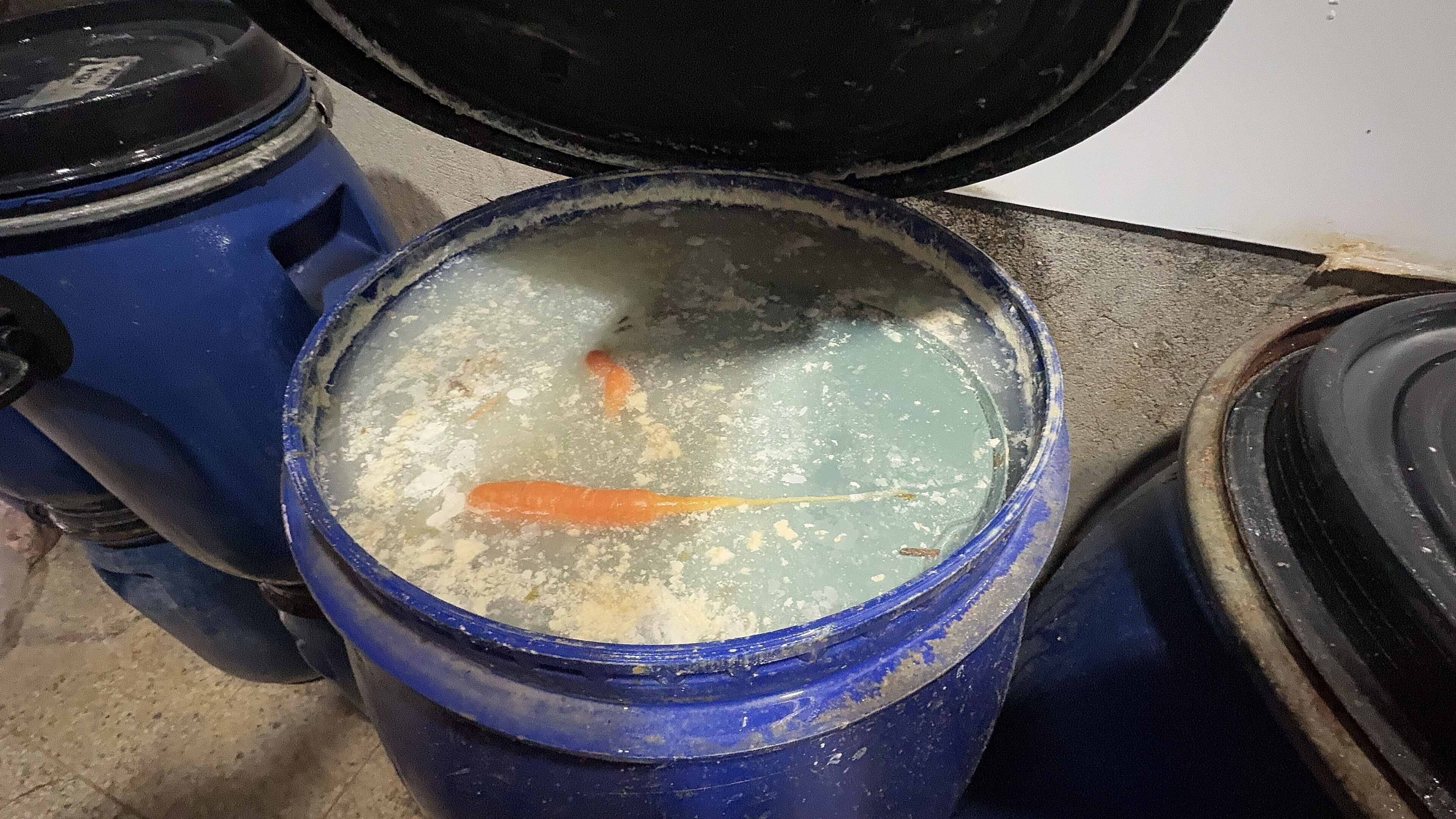 Dönerci değil, mikrop fabrikası: Mide bulandıran görüntüler... Dönerci değil, mikrop fabrikası: Mide bulandıran görüntüler... - 3. Resim