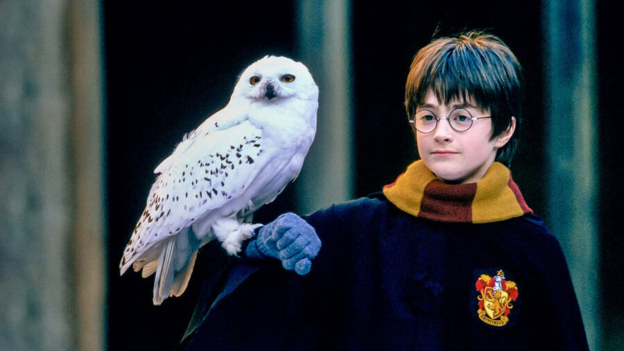 Hogwarts’a dönüş başlıyor! Harry Potter dizisinin ilk oyuncuları açıklandı Hogwarts’a dönüş başlıyor! Harry Potter dizisinin ilk oyuncuları açıklandı - 5. Resim