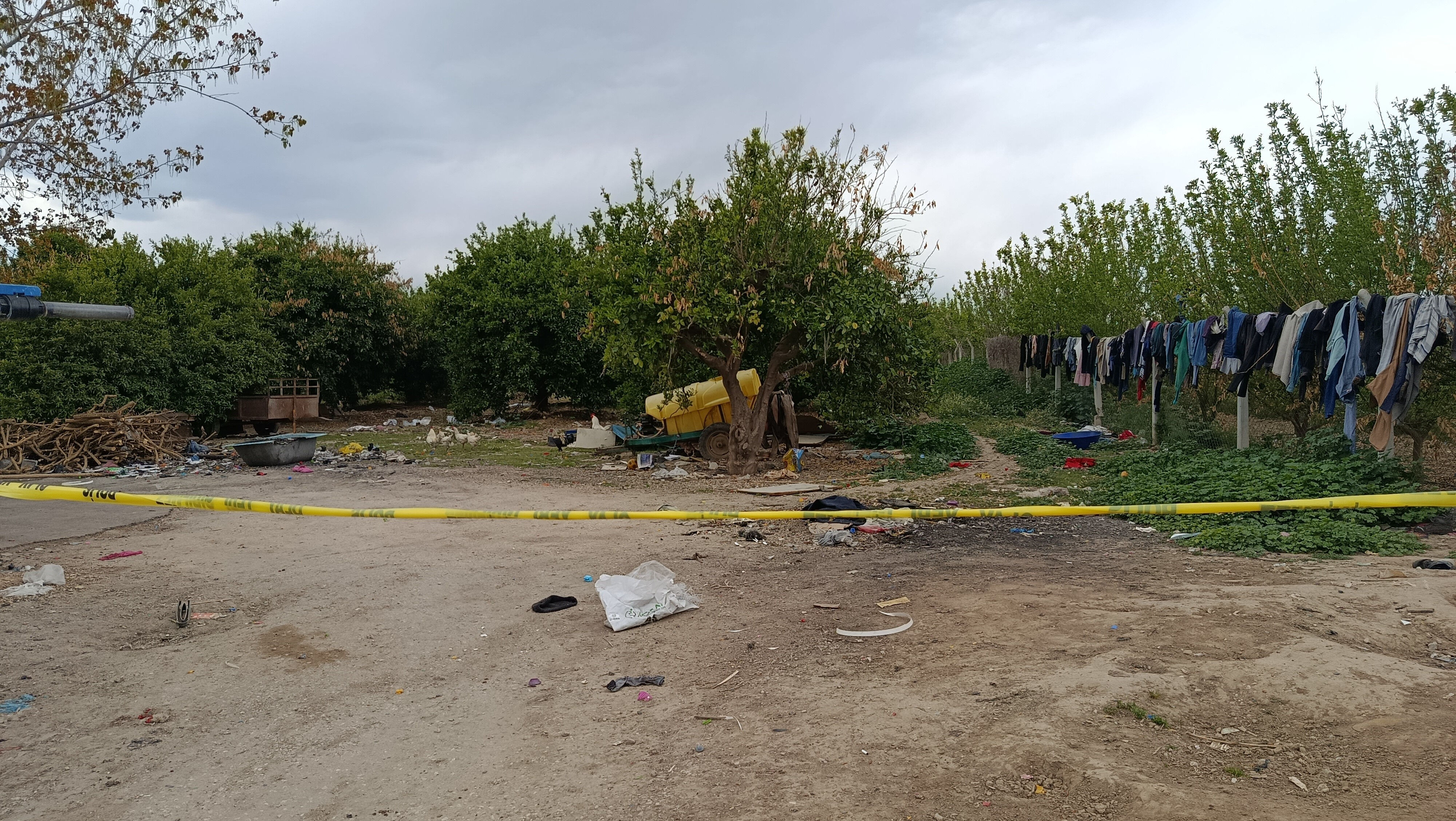 Parasını alamayınca silahına sarıldı! 8 bin lira için dehşet saçtı Portakal bahçesinde vahşet! Parasını alamayınca silahına sarıldı - 2. Resim