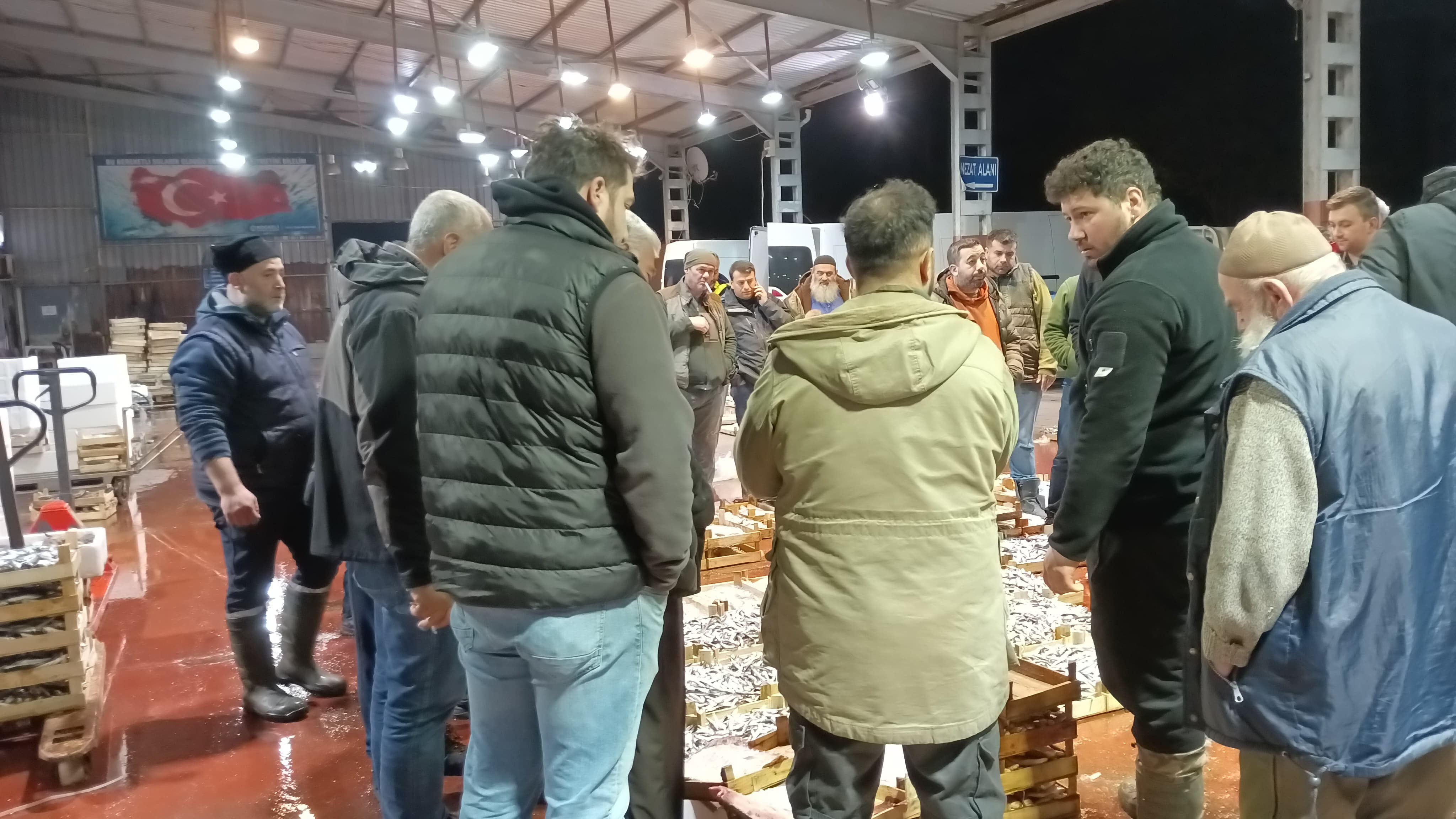 Av yasağı sonrası ilk gün! Denizden istavrit fışkırdı, işte kasa fiyatı Av yasağı sonrası ilk gün! Denizden istavrit fışkırdı, işte kasa fiyatı - 1. Resim