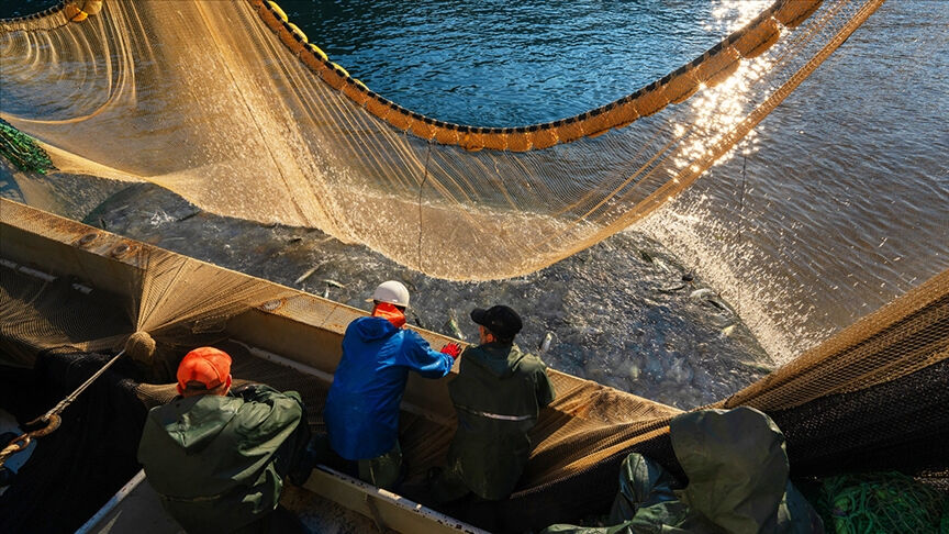 Balık avında kurallar değişti! O tarihlere dikkat Balık avında kurallar değişti! O tarihlere dikkat - 2. Resim