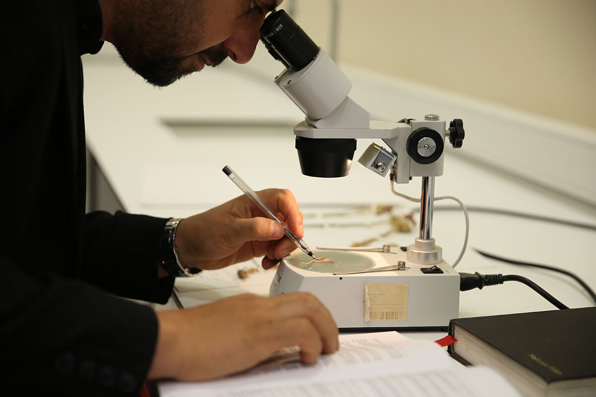 Görüp üstüne basıyoruz, 12 yıl bu bitki için çalıştılar... 'Erbilkızanı' literatüre kazandırıldı Görüp üstüne basıyoruz, 12 yıl bu bitki için çalıştılar... 'Erbilkızanı' literatüre kazandırıldı - 5. Resim