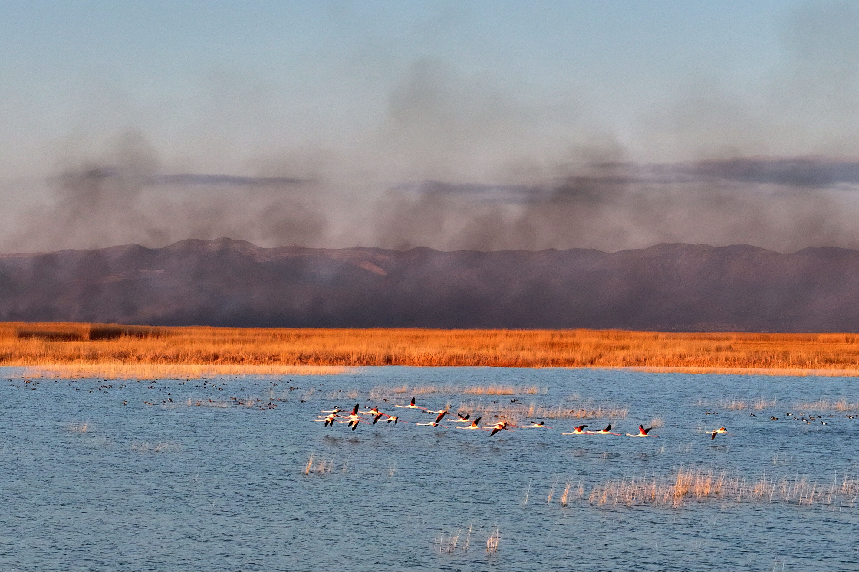 Milli Park'ta yangın! Alevler rüzgarın etkisiyle büyüyor - 1. Resim
