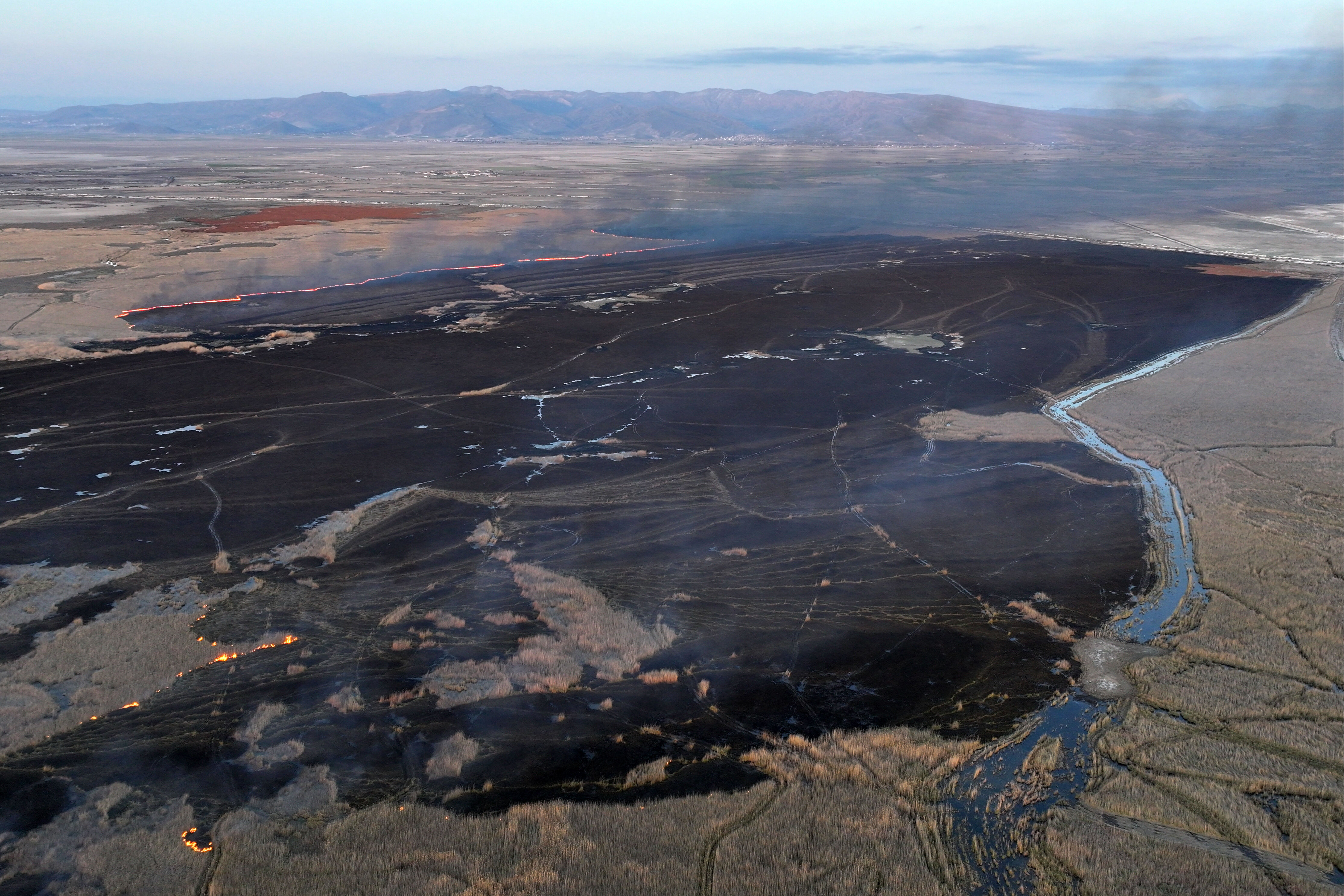 Milli Park'ta yangın! Alevler rüzgarın etkisiyle büyüyor - 3. Resim