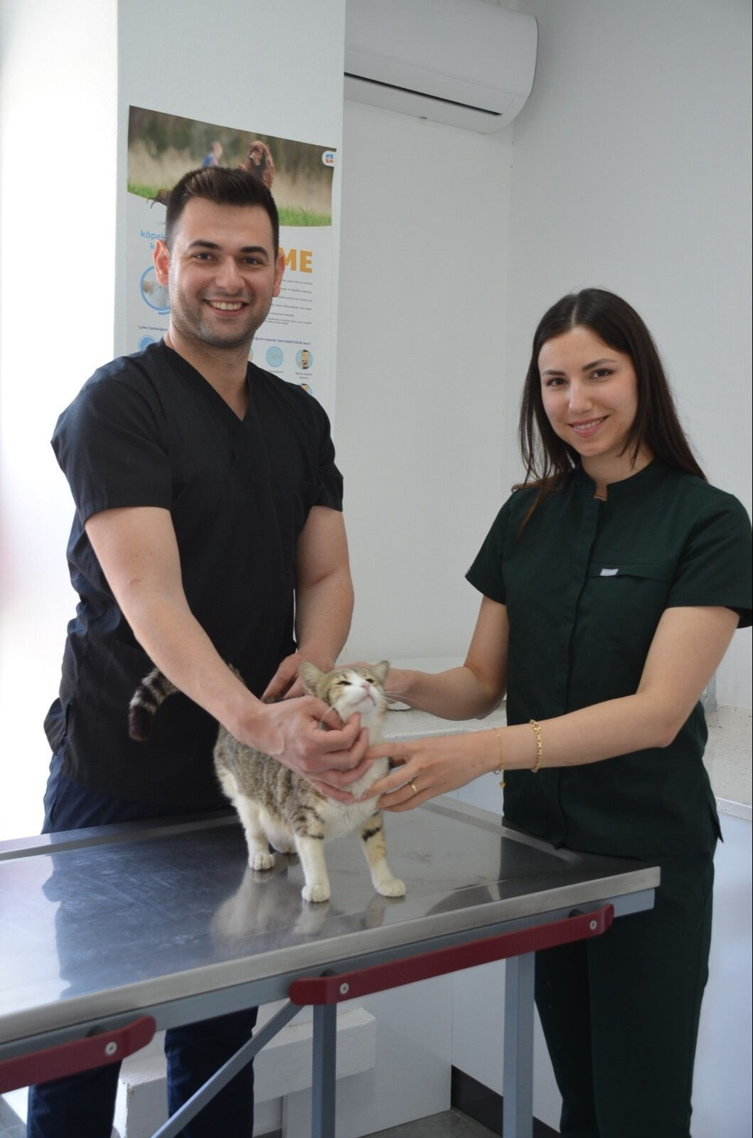 Veterinerleri şoke eden olay! Kapıya kadar geldi: Önce aç olduğunu düşündük... - 2. Resim