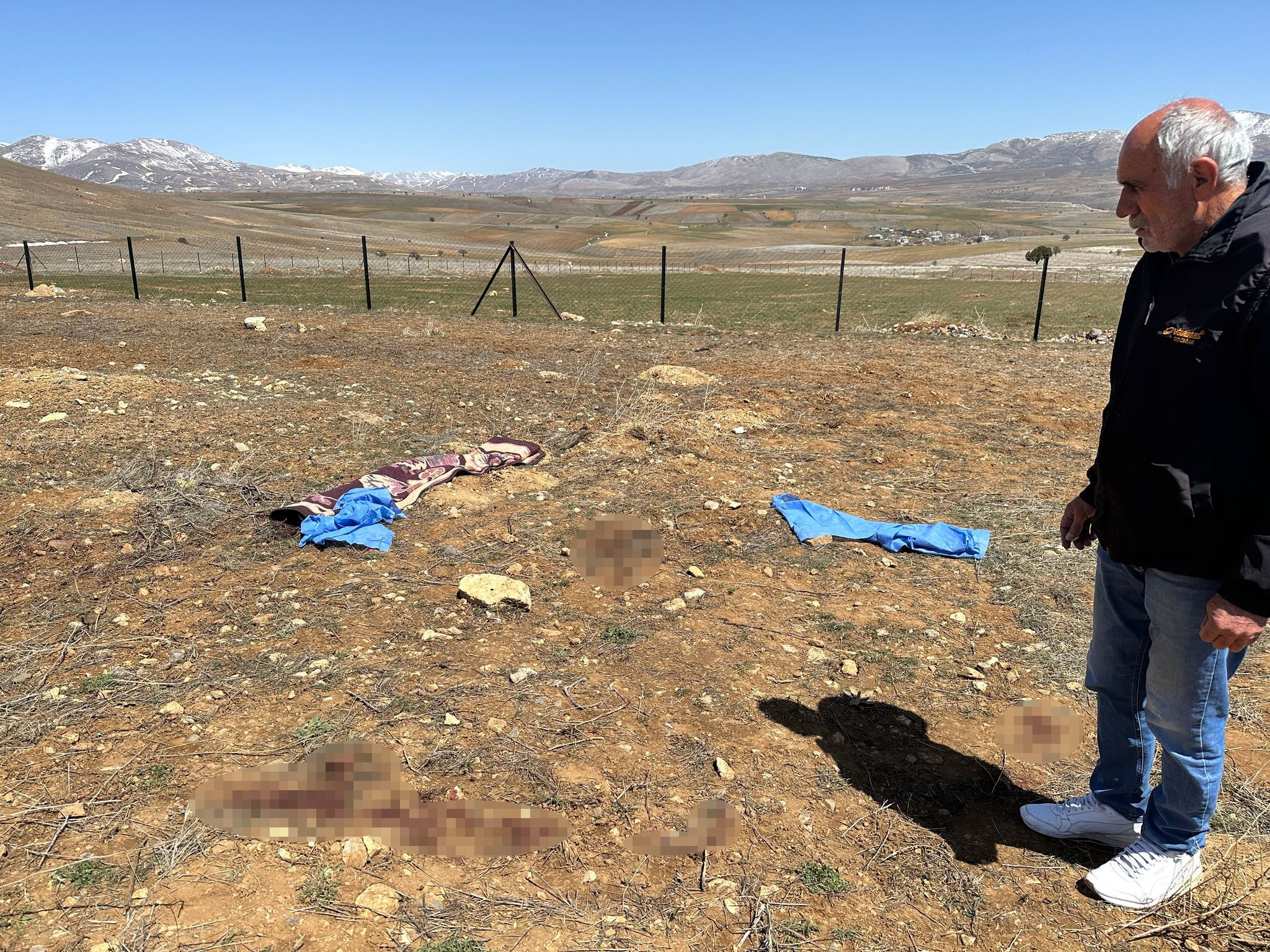 Kayseri'de başıboş köpekler 72 yaşındaki adamı katletti!  Kayseri'de başıboş köpekler 72 yaşındaki adamı katletti!