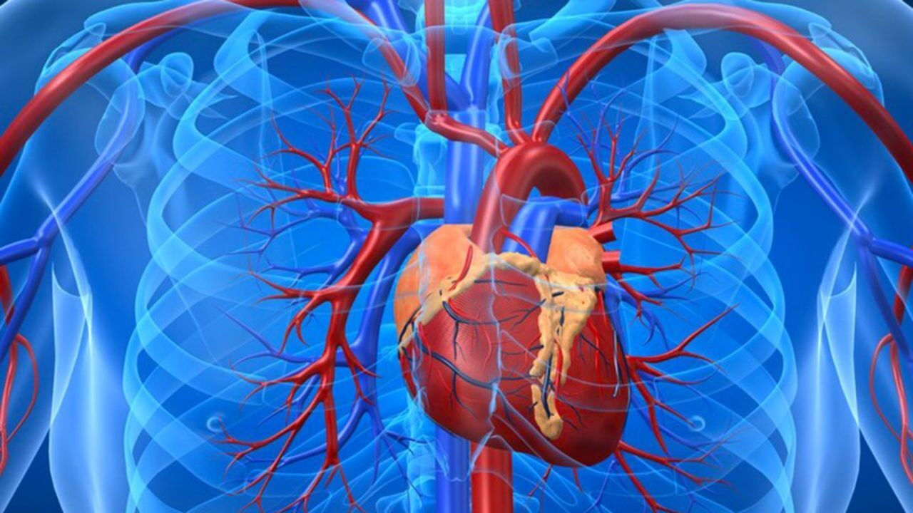 Sırrı Süreyya Önder'den sonra tekrar gündem! Aort yırtılması kalp krizi ve felçle sonuçlanabilir - 2. Resim