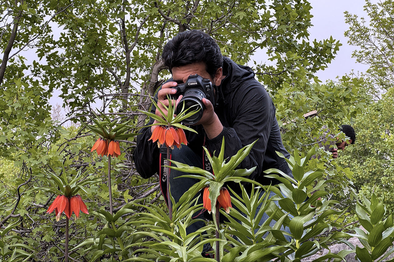 Ters lale sevgisi dağa tırmandırdı! 