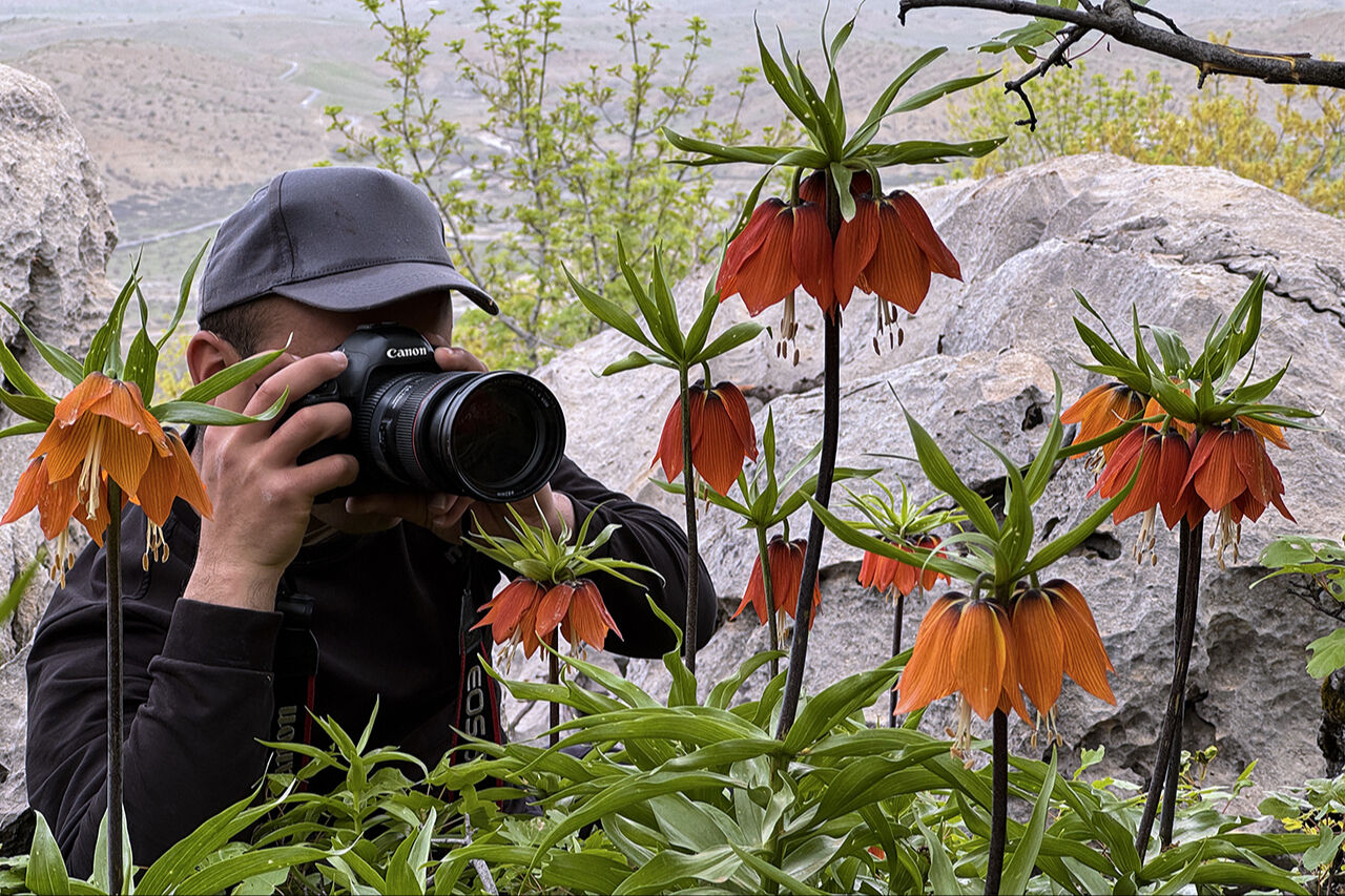 Ters lale sevgisi dağa tırmandırdı! 