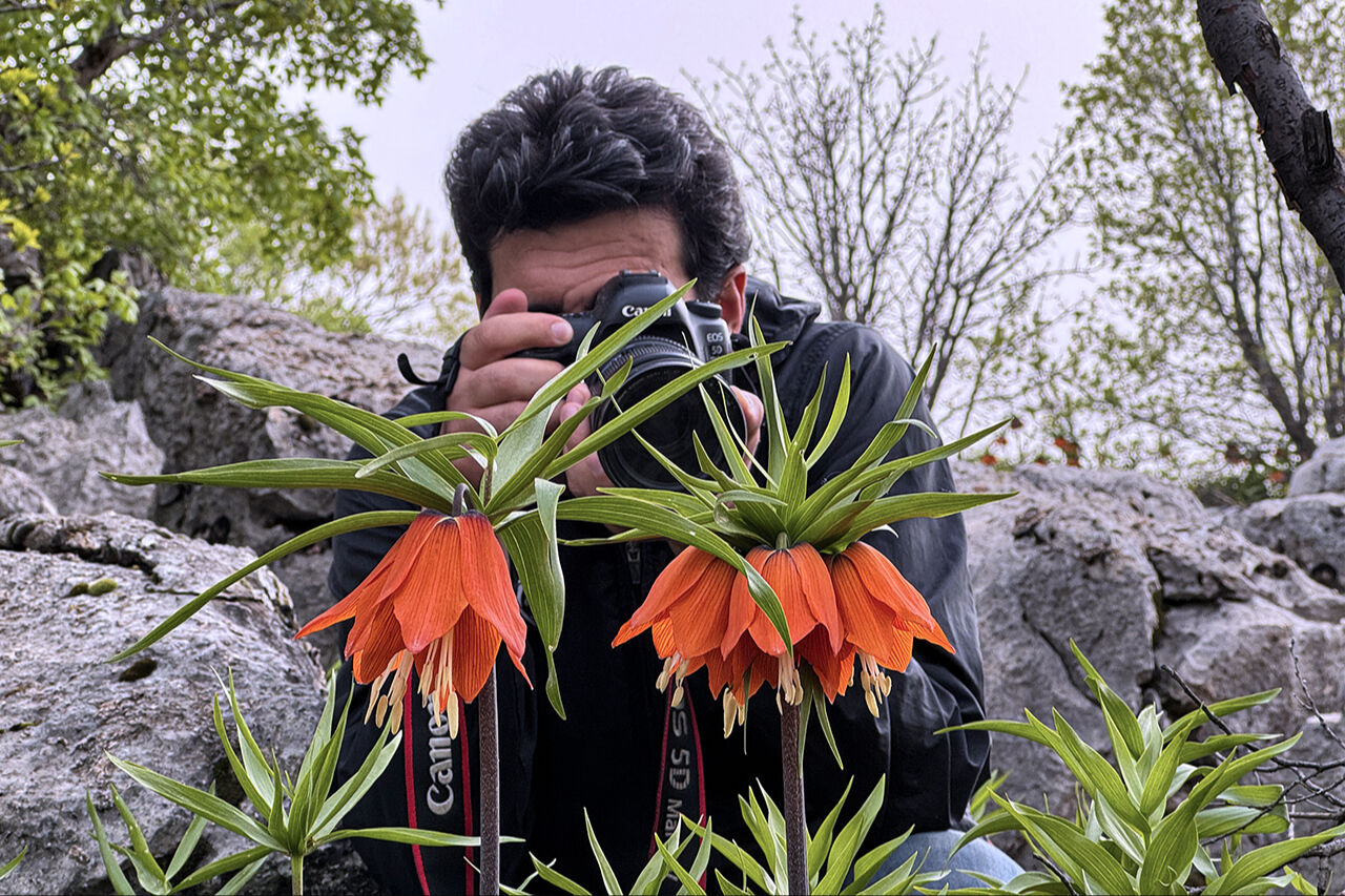 Ters lale sevgisi dağa tırmandırdı! 