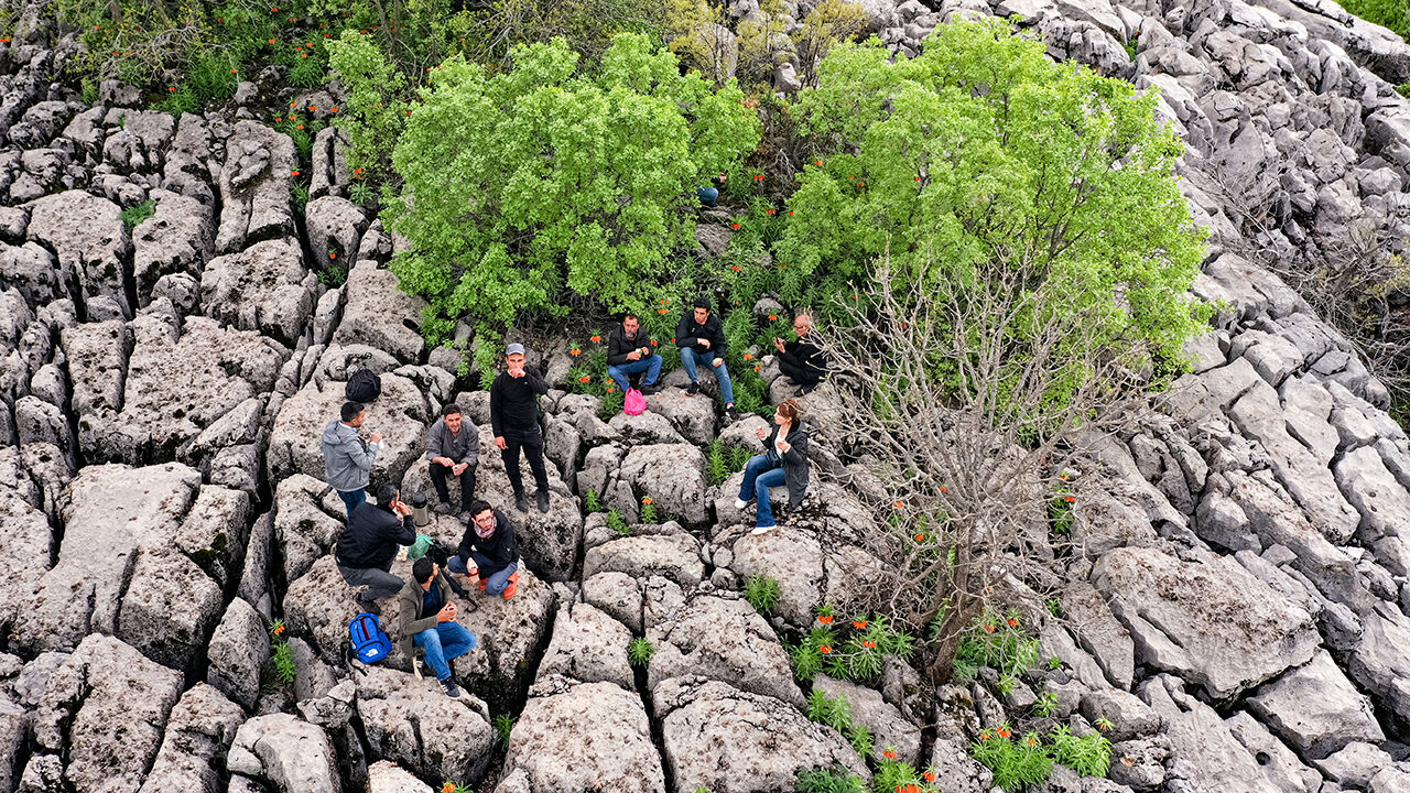 Ters lale sevgisi dağa tırmandırdı! 
