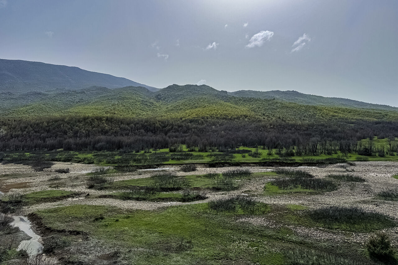 Ters lale sevgisi dağa tırmandırdı! 