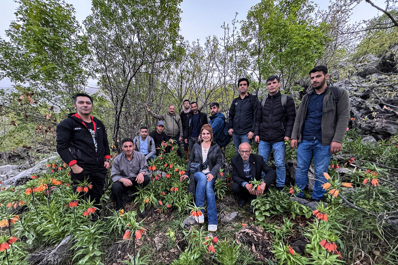 Ters lale sevgisi dağa tırmandırdı! 