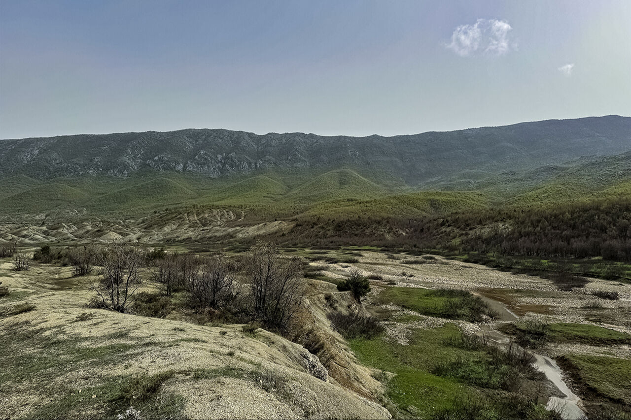 Ters lale sevgisi dağa tırmandırdı! 