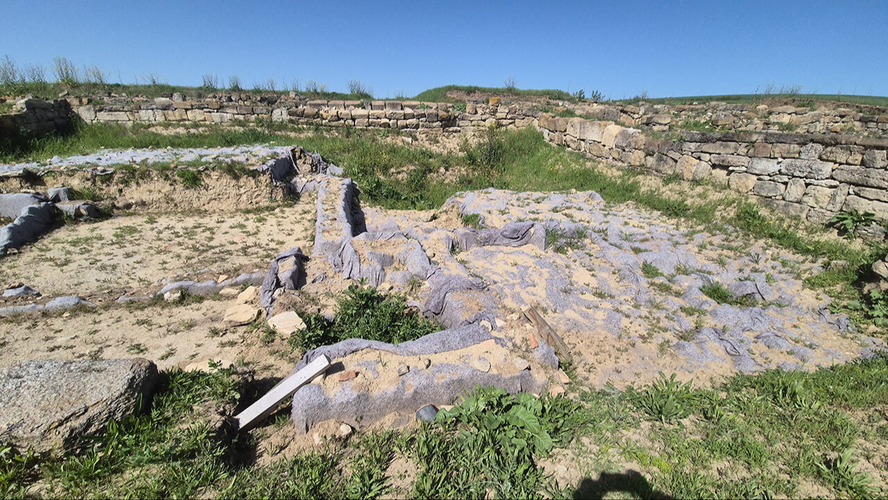 Traklar define avcılarının hedefinde! Trakya adı onlardan geliyor - 3. Resim