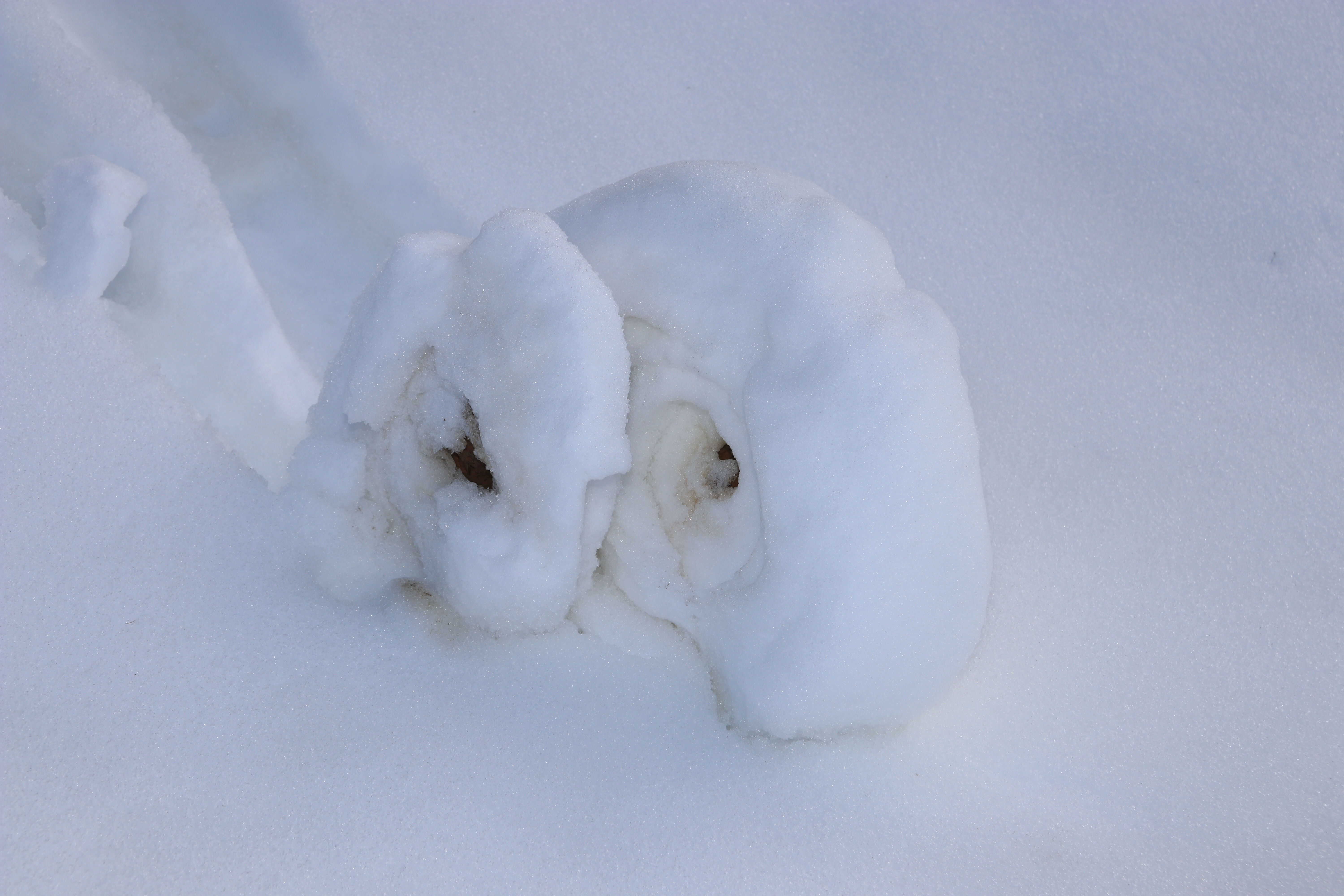 Doğada ender görülüyor! Eşsiz manzara bu kez o şehrimizde görüntülendi, bakan gözünü alamadı - 1. Resim