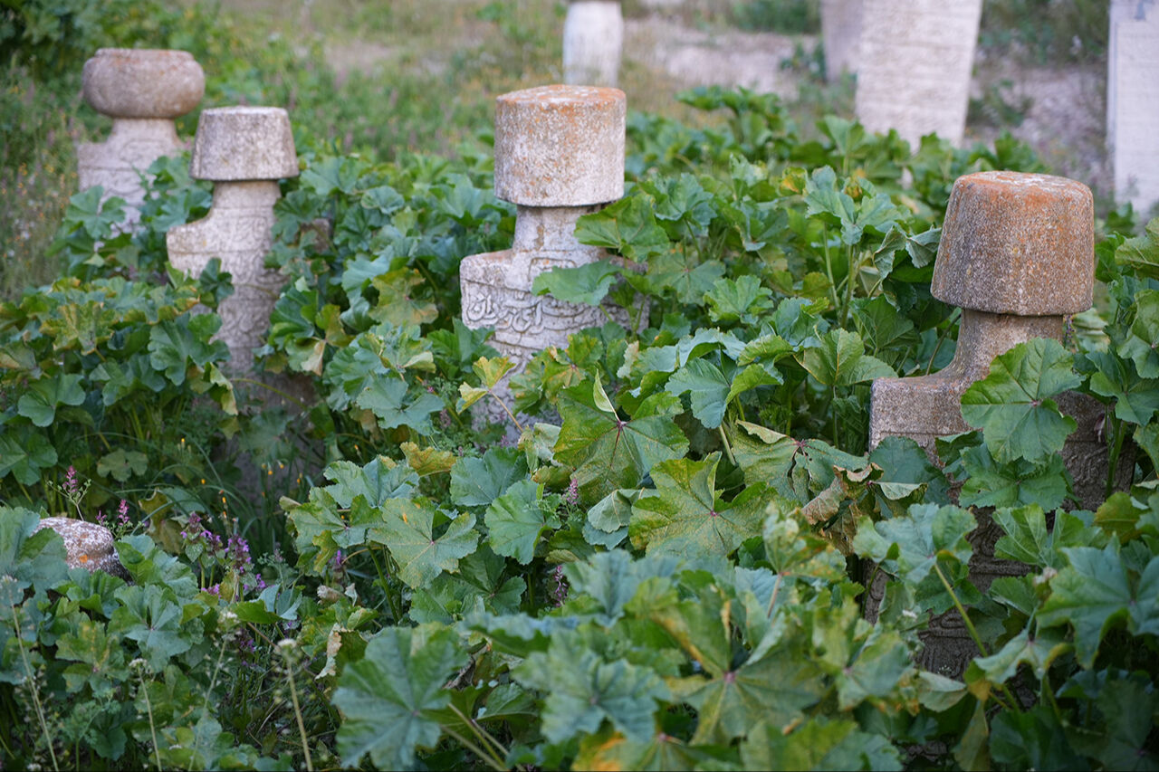 Osmanlı kimliği siliniyor! Tarihi mezarlıkta yürek sızlatan görüntüler - 4. Resim