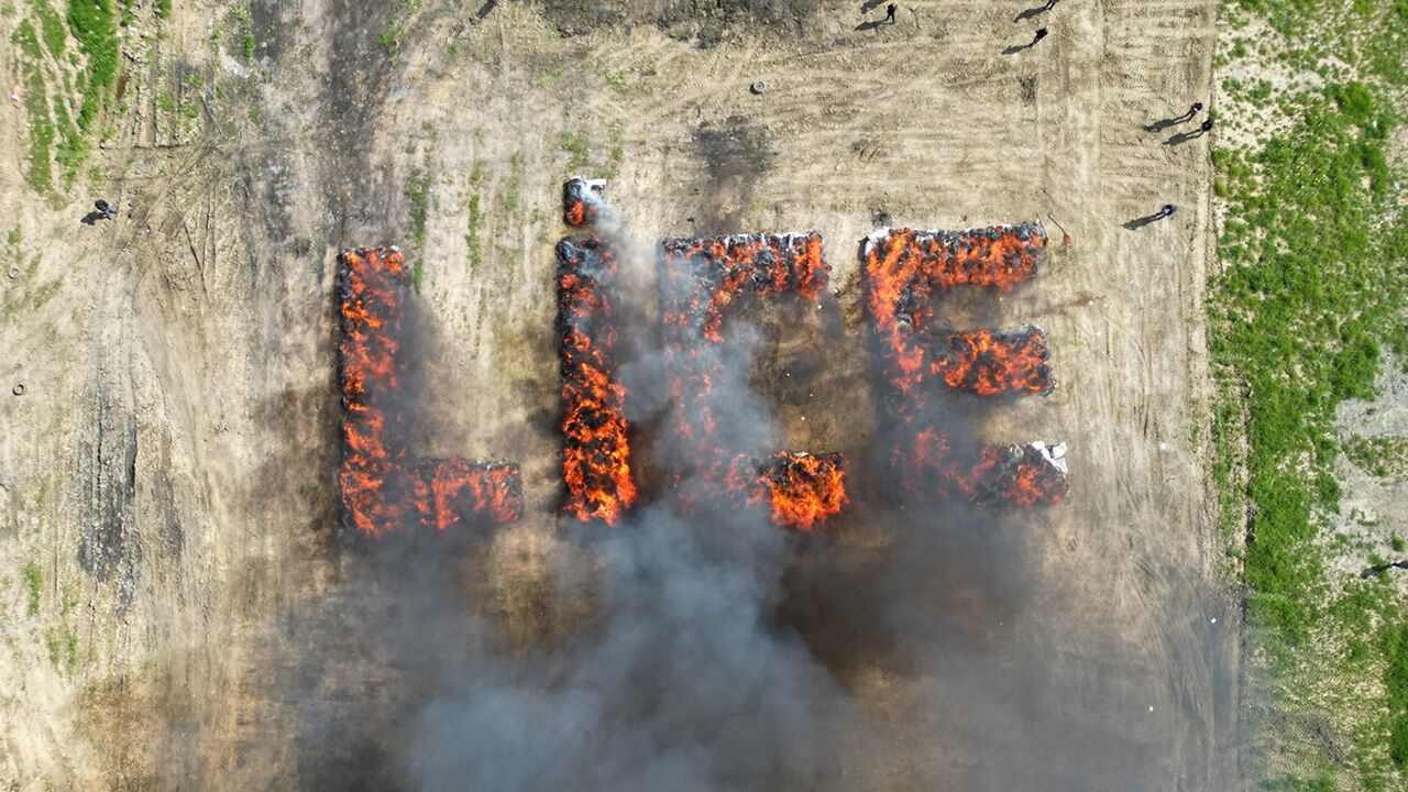 Piyasa değeri 10 milyar TL! 200 litre mazot kullanılarak hepsi imha edildi Piyasa değeri 10 milyar TL! 200 litre mazot kullanılarak hepsi imha edildi - 2. Resim