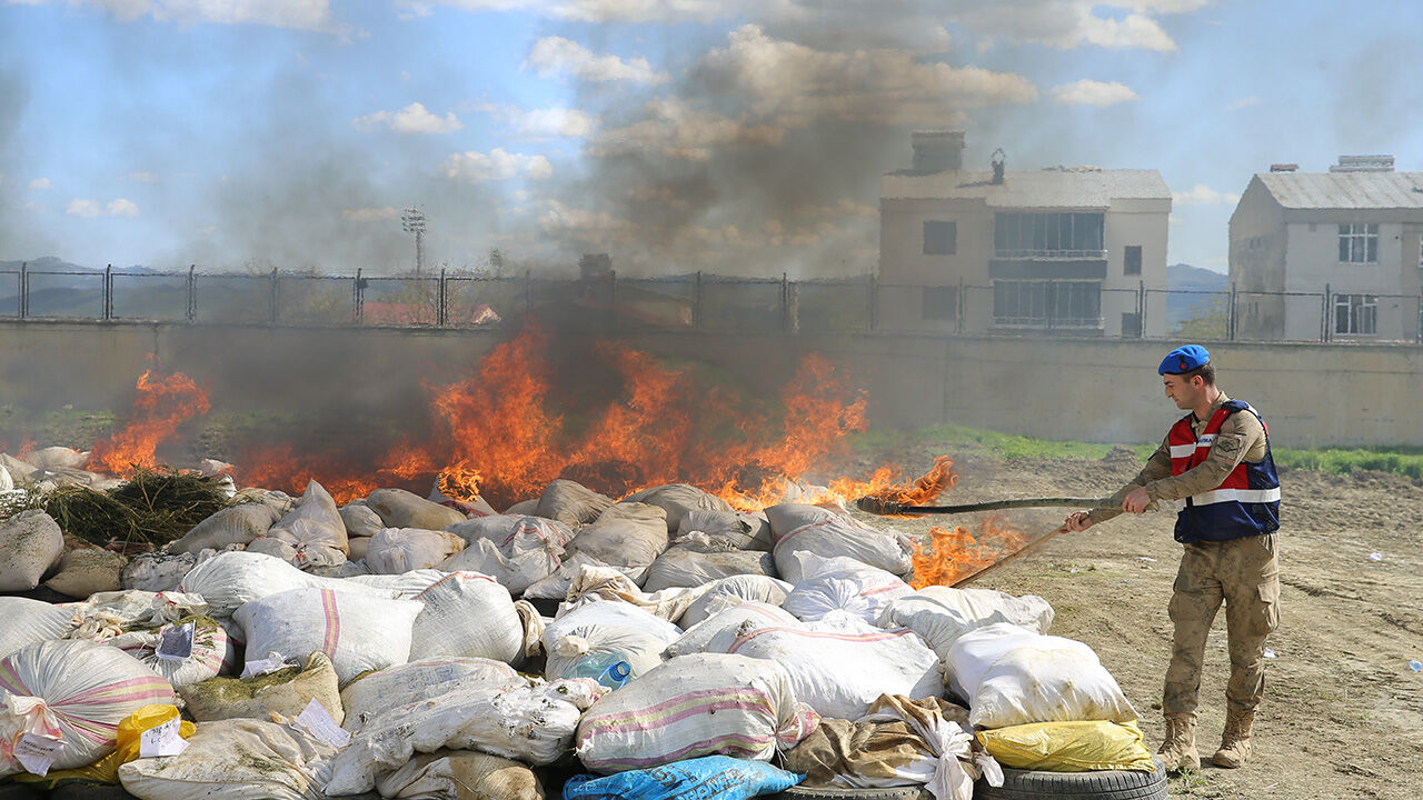 Piyasa değeri 10 milyar TL! 200 litre mazot kullanılarak hepsi imha edildi Piyasa değeri 10 milyar TL! 200 litre mazot kullanılarak hepsi imha edildi - 4. Resim