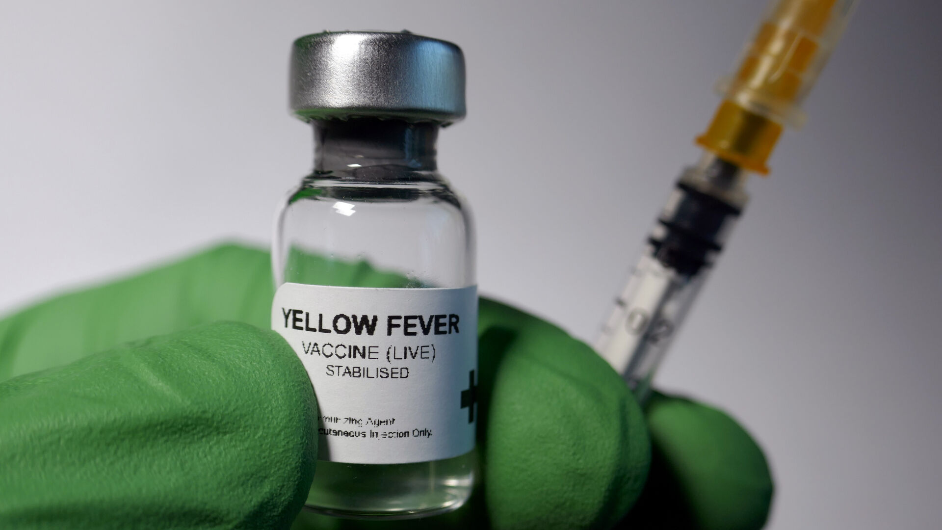 Ülkede acil durum ilan edildi! Humma hastalığından 34 ölüm - 5. Resim