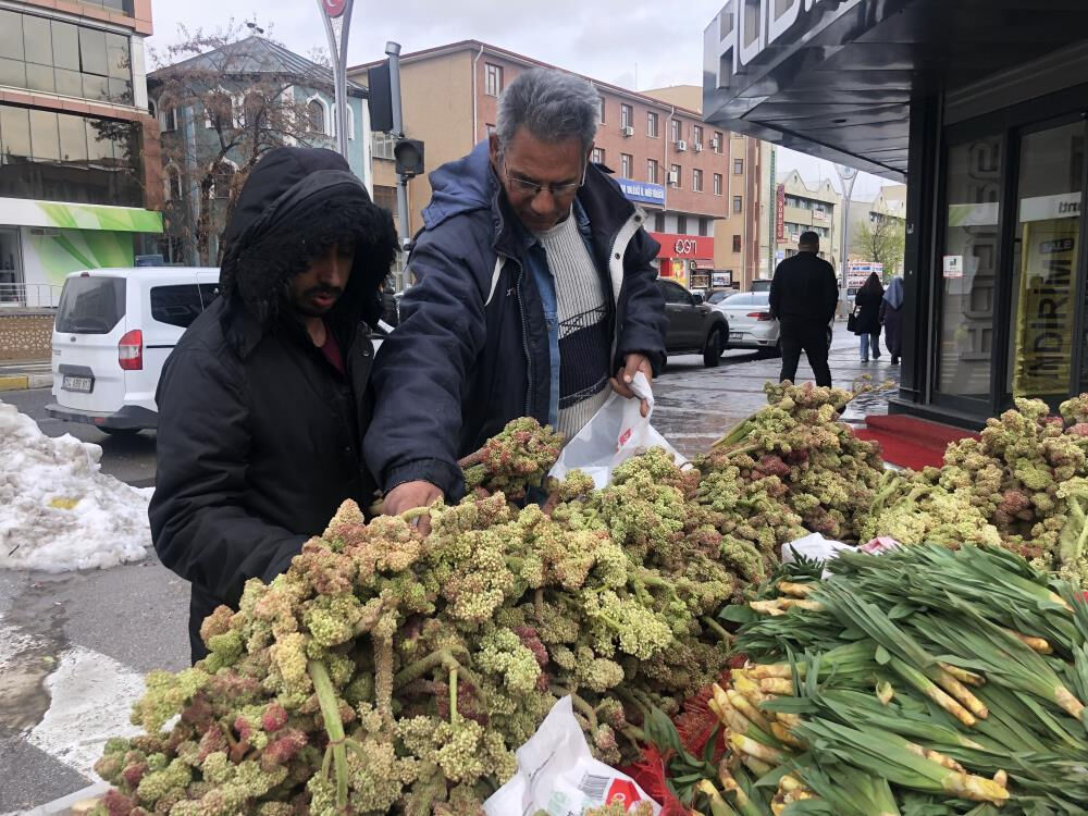 Doğal olarak yetişiyor! Destesi 300 liradan tezgahlarda yerini aldı Doğal olarak yetişiyor! Destesi 300 liradan tezgahlarda yerini aldı - 1. Resim
