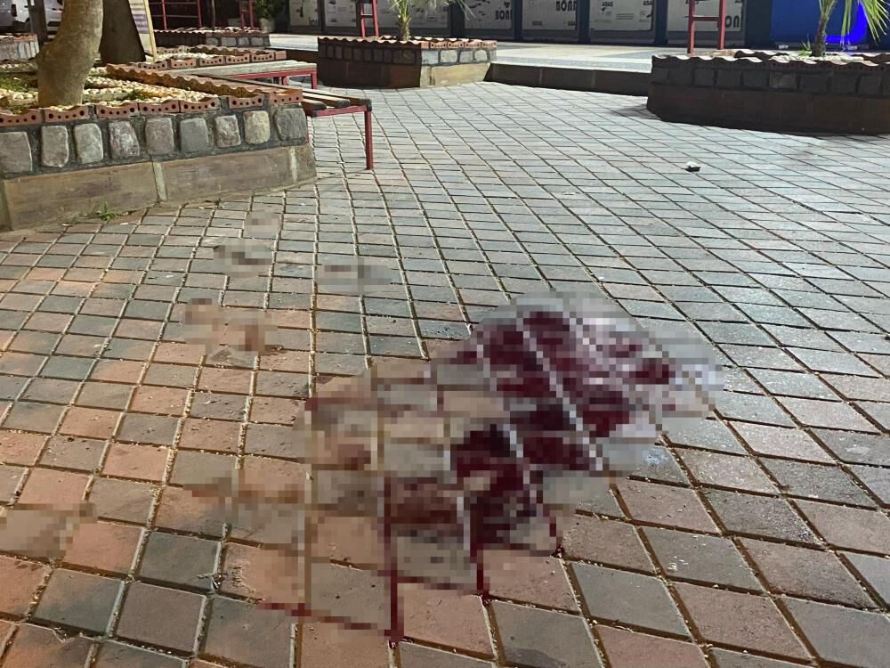 Manisa'da dehşet! Karısını öldürüp polise saldıran zanlı vurularak durduruldu - 1. Resim