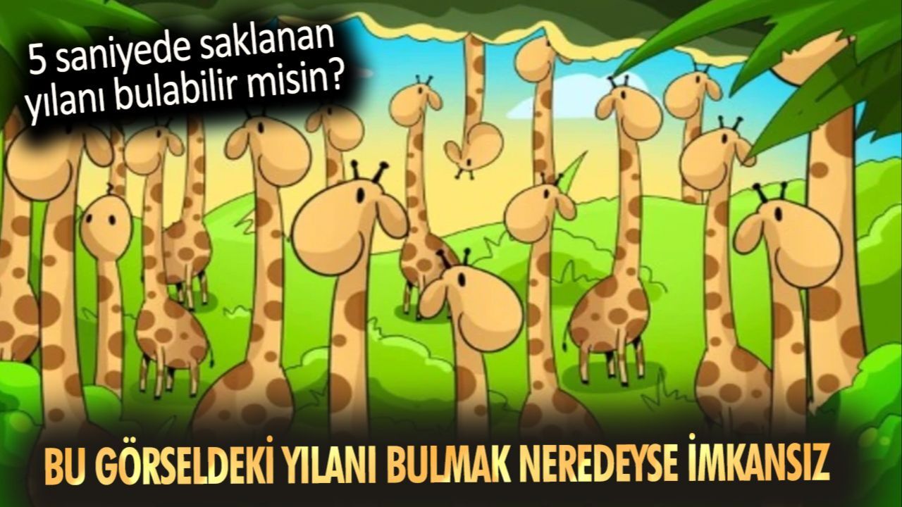 Bu görseldeki yılanı bulmak neredeyse imkansız! 5 saniyede saklanan yılanı bulabilir misin? Bu görseldeki yılanı bulmak neredeyse imkansız! 5 saniyede saklanan yılanı bulabilir misin?