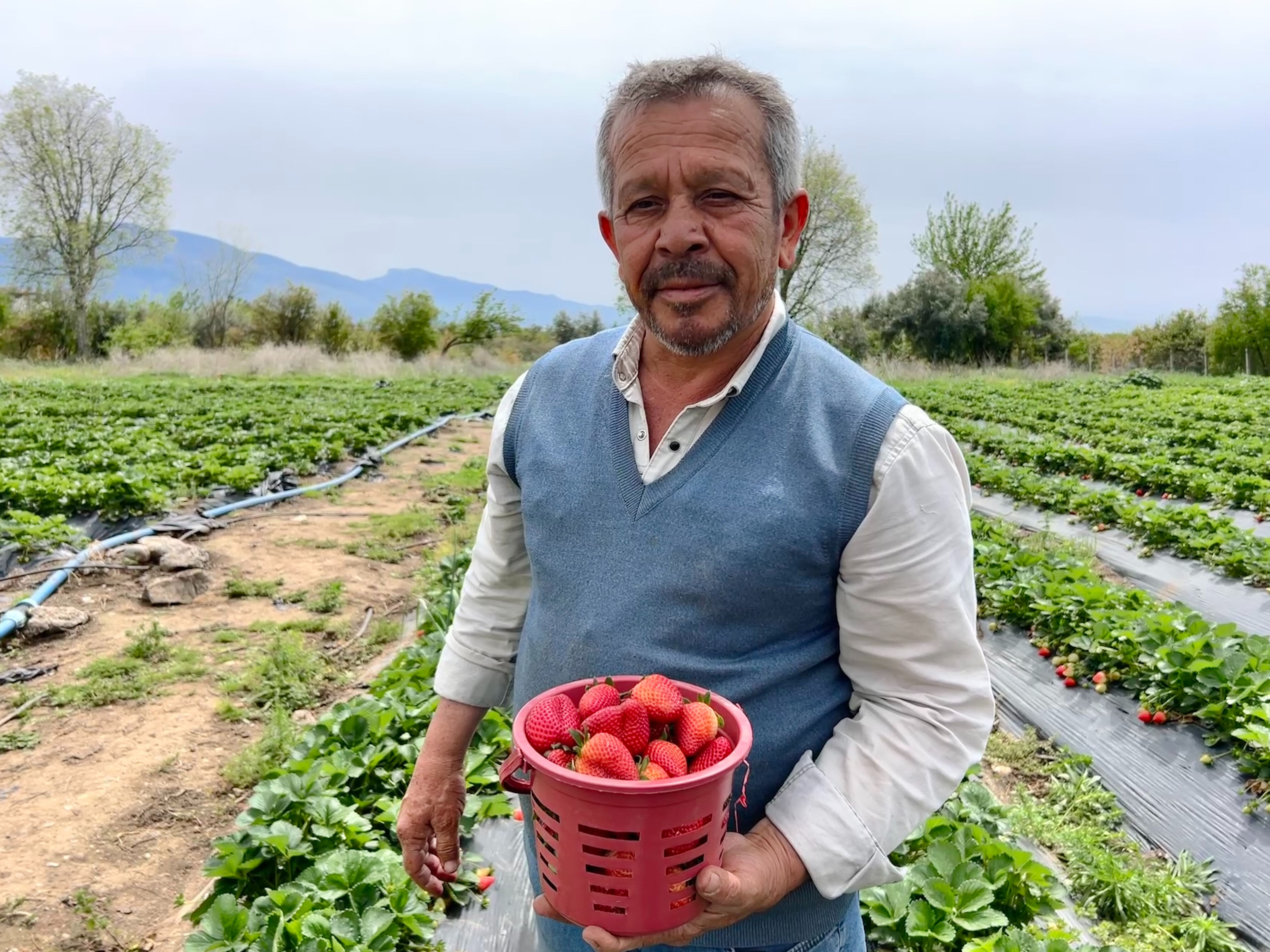 Tarlasını ateş yakarak korudu, şimdi ürününün kilosu 200 TL! Zirai don bu çiftçiyi yenemedi Tarlasını ateş yakarak korudu, ürününü tezgahta 200 TL'ye satıyor! Zirai don bu çiftçiyi yenemedi - 2. Resim