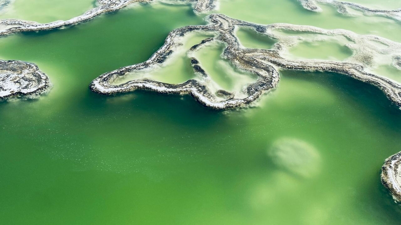 Bilim insanları yeni bir renk keşfetti!  "Olo" rengi nasıl ortaya çıktı? Bilim insanları yeni bir renk keşfetti!  "Olo" rengi nasıl ortaya çıktı? - 4. Resim