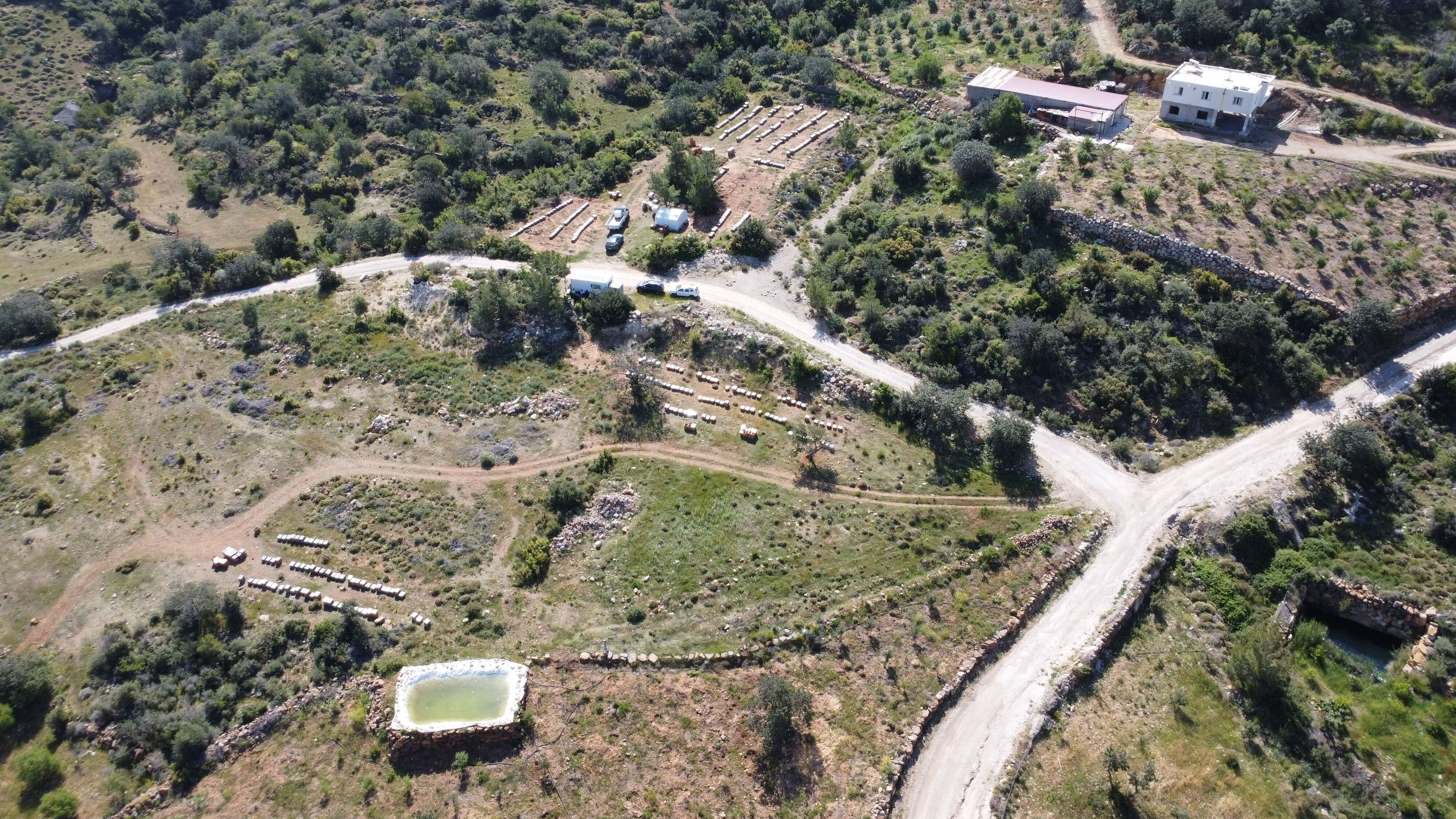 Faydaları saymakla bitmiyor! Üretici peşinden koşuyor, kilo fiyatı dudak uçuklattı Faydaları saymakla bitmiyor! Üretici peşinden koşuyor, kilo fiyatı dudak uçuklattı - 5. Resim