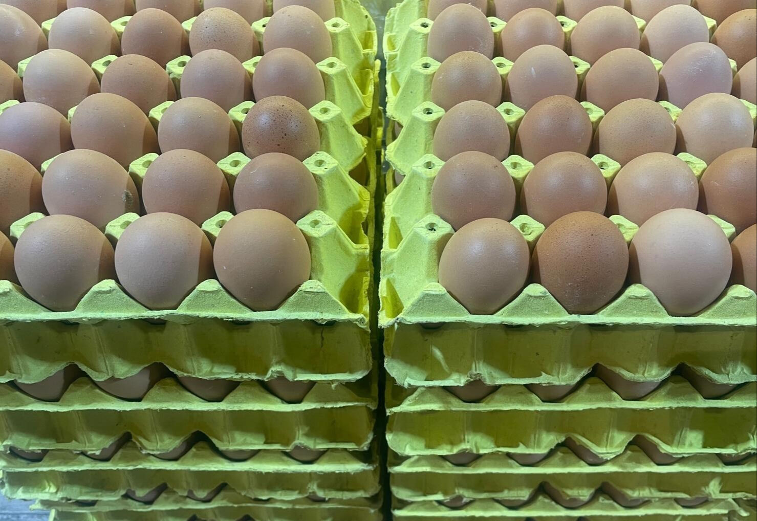 Hem organik hem de fiyatı uygun! Bu yumurtaların kolisi 100 lira ucuza satılıyor - 1. Resim