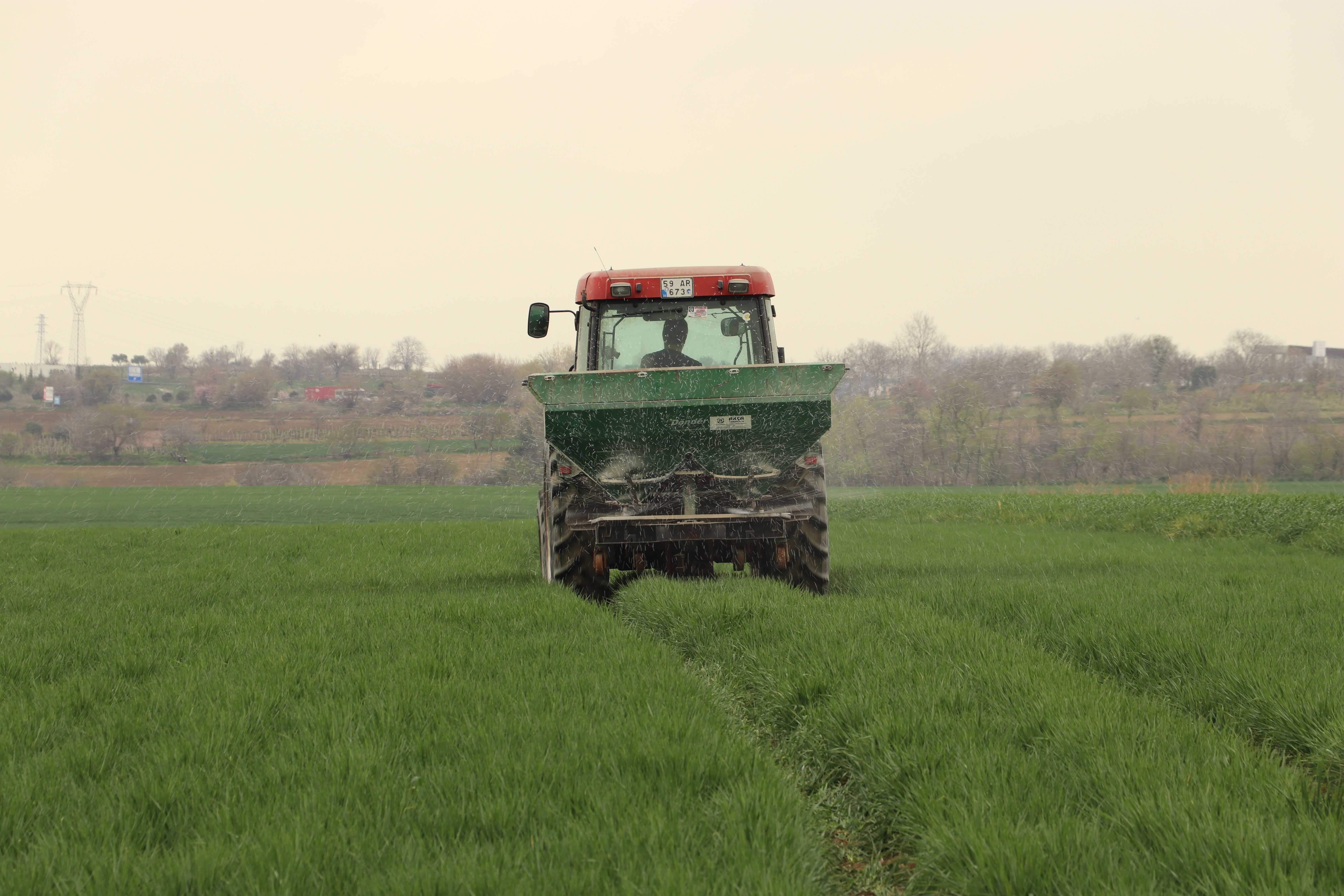 İsmi duyulmayan böcekler ortaya çıkacak! Tarlalar için tehlike çanları çalıyor... Bu sene çok farklı - 2. Resim