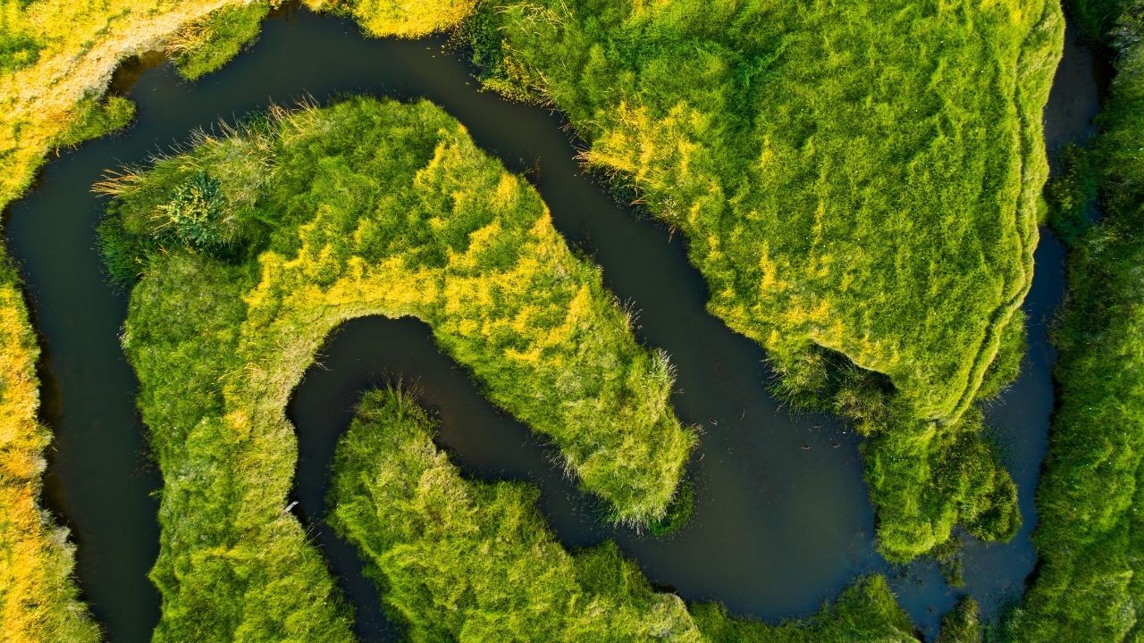 İklim değişikliği ilerleme durumu Doodle oldu! Google'da 22 Nisan Dünya Günü İklim değişikliği ilerleme durumu Doodle oldu! Google'da 22 Nisan Dünya Günü - 6. Resim