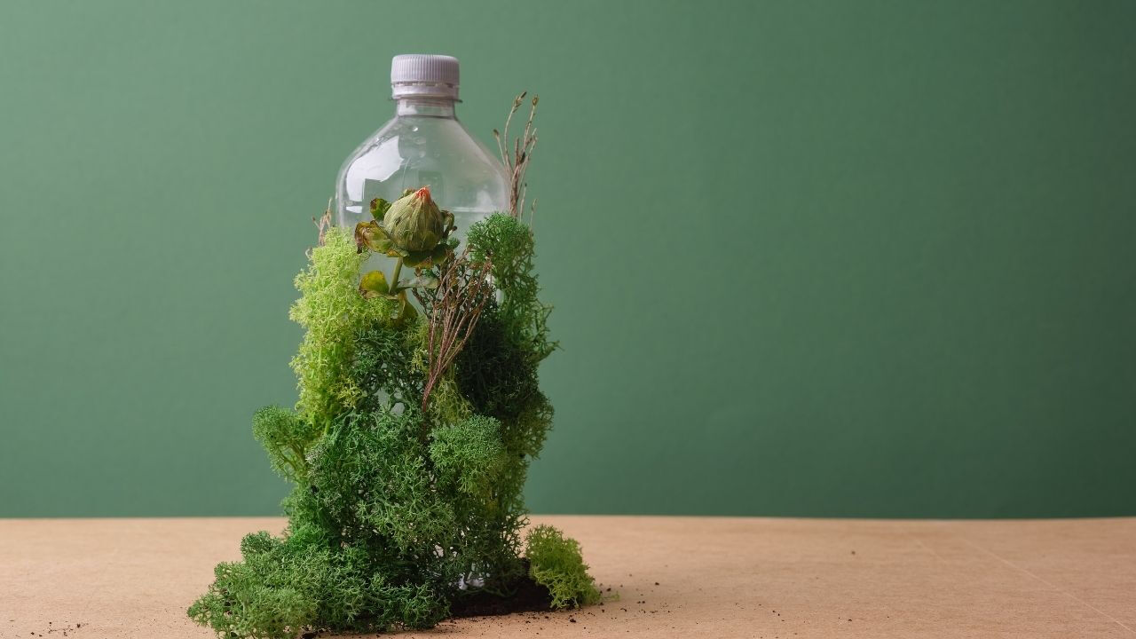 İklim değişikliği ilerleme durumu Doodle oldu! Google'da 22 Nisan Dünya Günü İklim değişikliği ilerleme durumu Doodle oldu! Google'da 22 Nisan Dünya Günü - 5. Resim