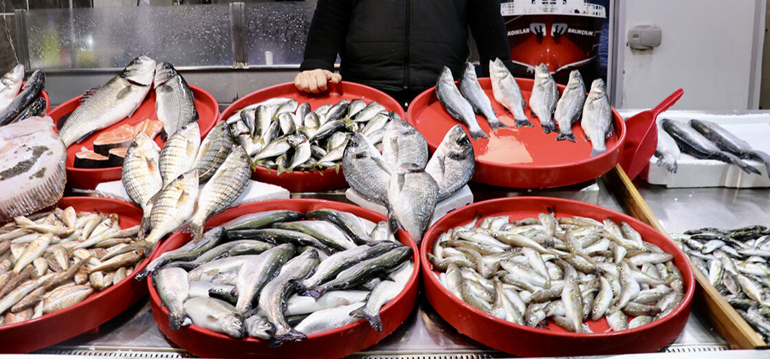 Nisan ayında taze tüketilebilecek mevsim balıkları Nisan ayında taze tüketilebilecek mevsim balıkları - 1. Resim