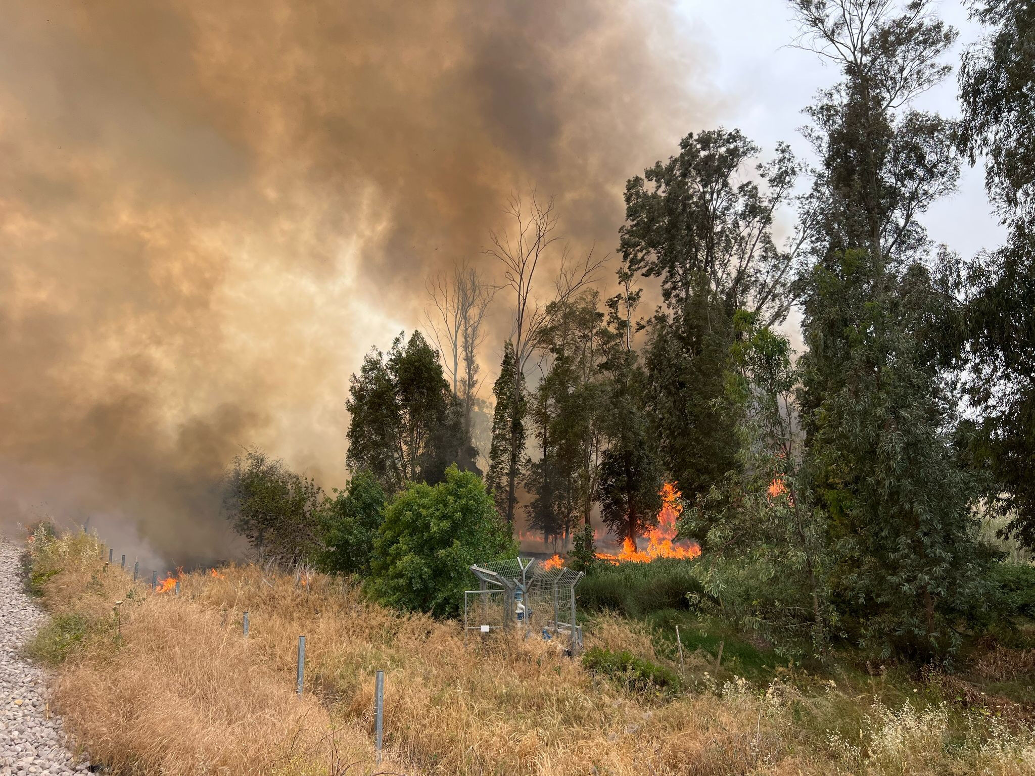 İstanbul'daki depremle dalga geçen İsrail, aynı gün alevlere teslim oldu! Yerleşim yerleri tahliye edildi İstanbul'da depremle dalga geçen İsrail, aynı gün alevlere teslim oldu! Yerleşim yerleri tahliye edildi - 1. Resim