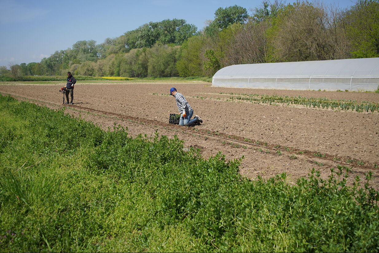 'Efsane renk' doğduğu topraklarda yeniden gündemde! Edirne kırmızısında son durum 'Efsane renk' doğduğu topraklarda yeniden gündemde! Edirne kırmızısında son durum - 3. Resim