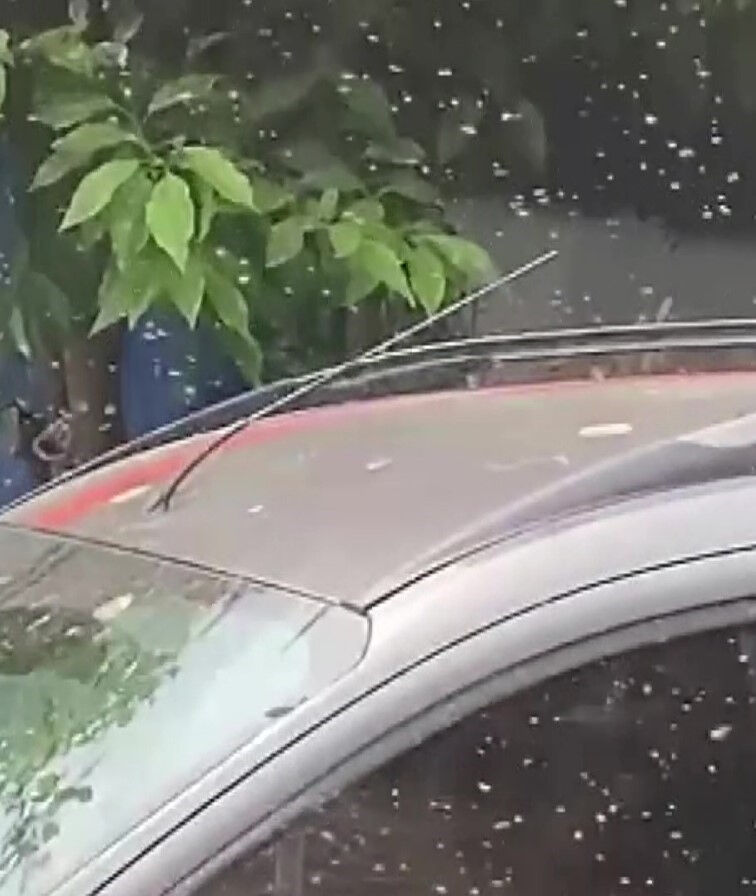 Adana'da şikayetler başladı, hızla yayıldı! İnsanlar evlerine kapandı - 1. Resim