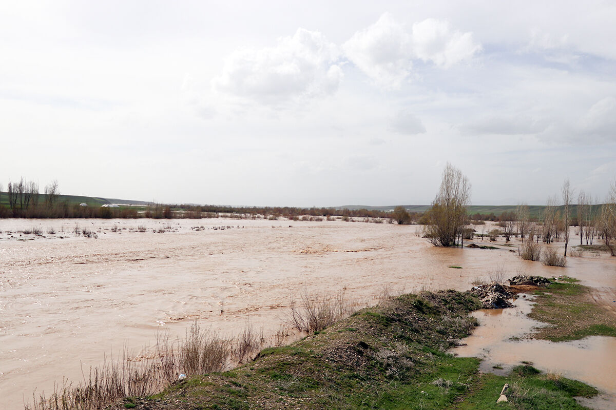 Murat Nehri taştı, kilometrelerce arazi sular altında kaldı Murat Nehri taştı, kilometrelerce arazi sular altında kaldı - 4. Resim