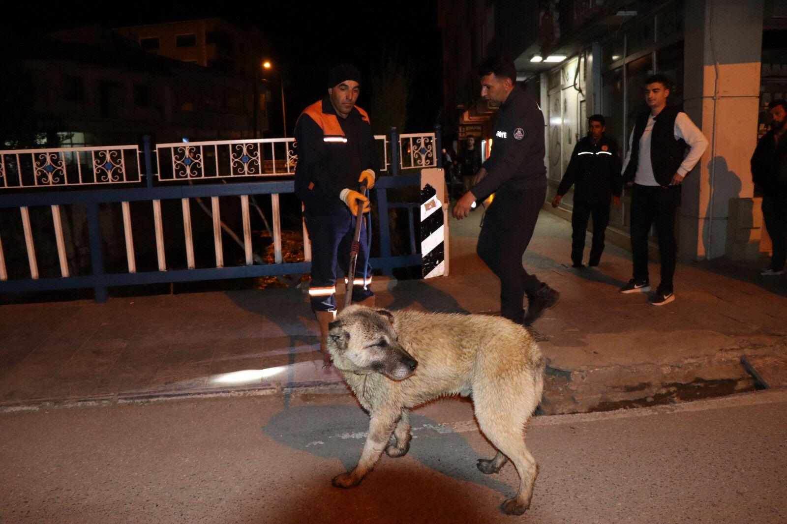 Oltu Çayı’nda saatler süren mücadele! Metrelerce sürüklendi, ekipler seferber oldu Oltu Çayı’nda saatler süren mücadele! Metrelerce sürüklendi, ekipler seferber oldu - 2. Resim