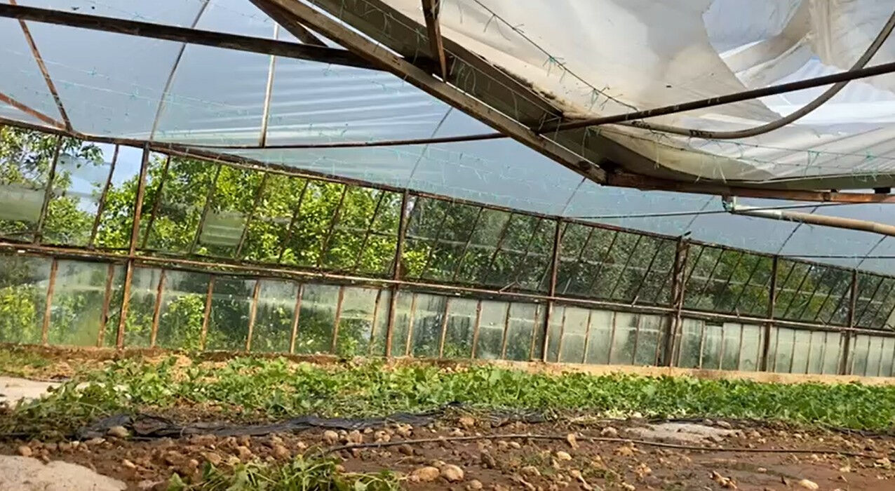 Serikliler bir gecede kabusu yaşadı: Sabah uyandıklarında neye uğradıklarını şaşırdılar - 3. Resim