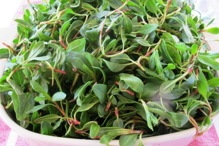 Şimdi toplama zamanı, doğada yetişiyor, şifa saçıyor: Tansiyondan şekere doğal destek!  Şimdi toplama zamanı, doğada yetişiyor, şifa saçıyor: Tansiyondan şekere doğal destek!  - 1. Resim