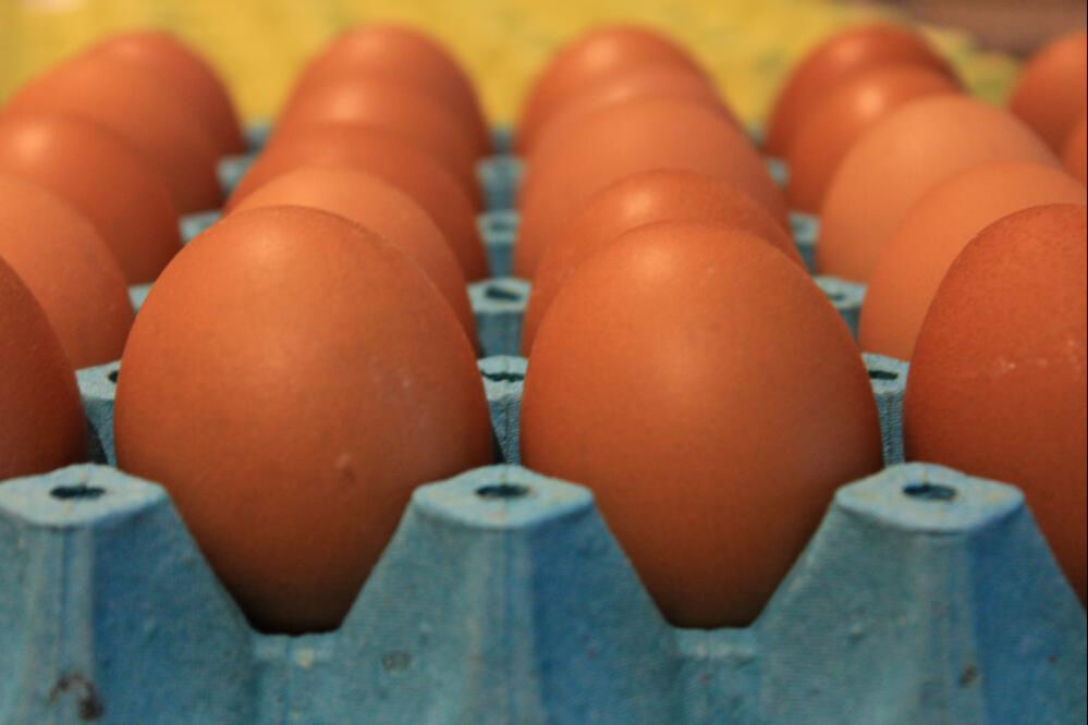 Vatandaşı sevindiren gelişme! Yumurta fiyatları düşüşe geçti Vatandaşı sevindiren gelişme! Yumurta fiyatları düşüşe geçti - 1. Resim